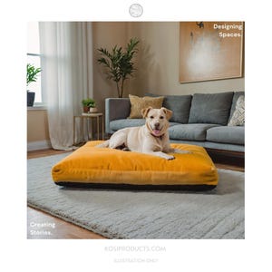 May include: A yellow dog bed with a black border, featuring a light brown dog lying on it. The bed is on a grey rug in a living room setting with a sofa and a plant in the background.