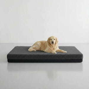 K&ouml;nnte beinhalten: Ein Golden Retriever liegt auf einem rechteckigen, dunkelgrauen Hundebett. Das Bett hat eine strukturierte, pl&uuml;schige Oberfl&auml;che und eine schwarze Basis. Der Hund blickt in die Kamera in einer hellen, minimalistischen Umgebung. Das Bett ist ca. 90 cm lang.