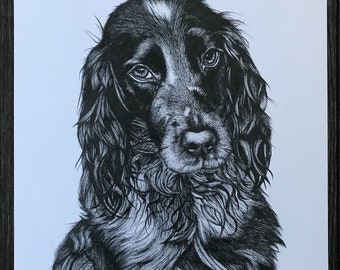 Cocker Spaniel portrait, imprimé