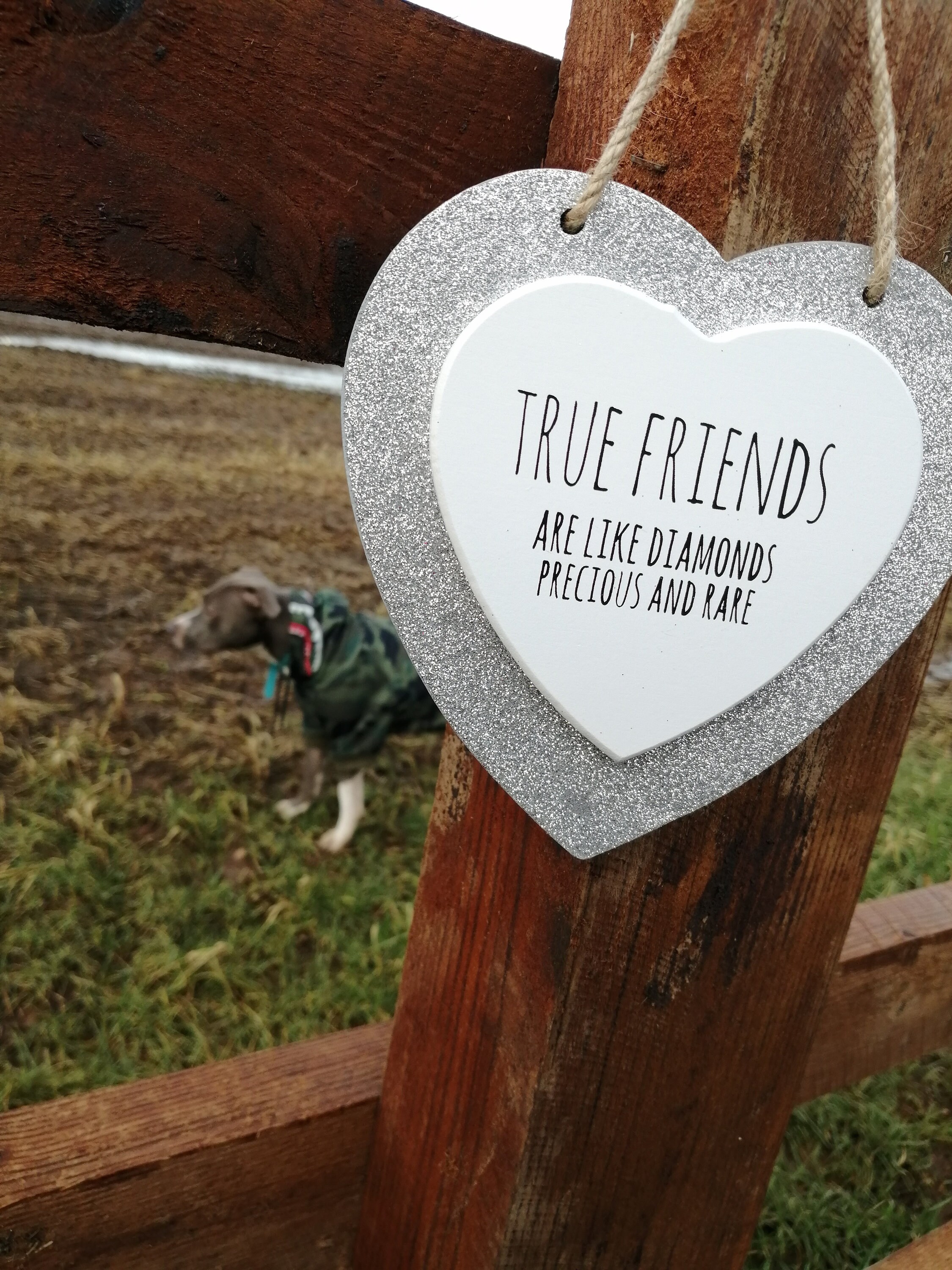True friends are like diamonds precious and rare silver Etsy