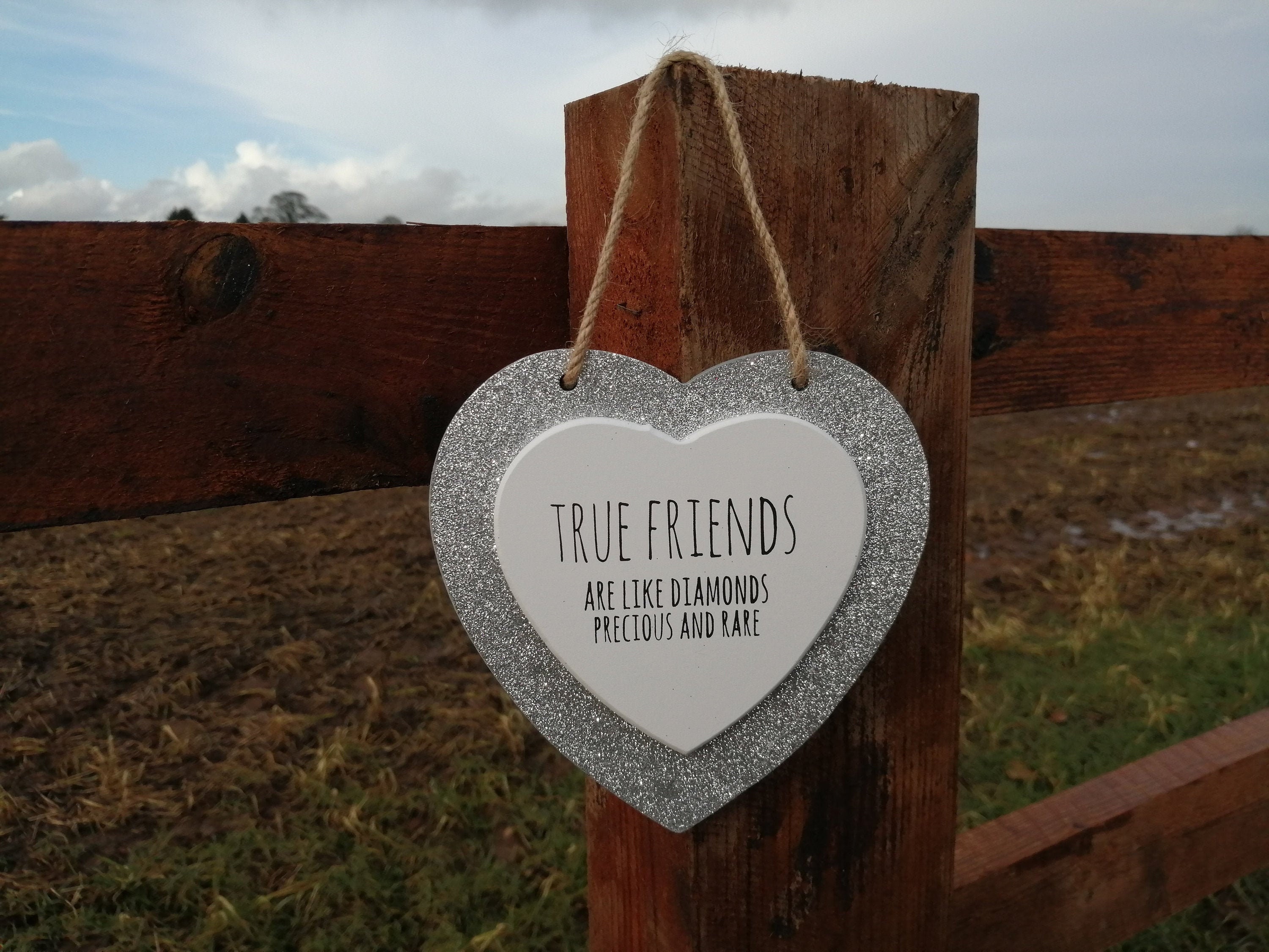 True friends are like diamonds precious and rare silver Etsy