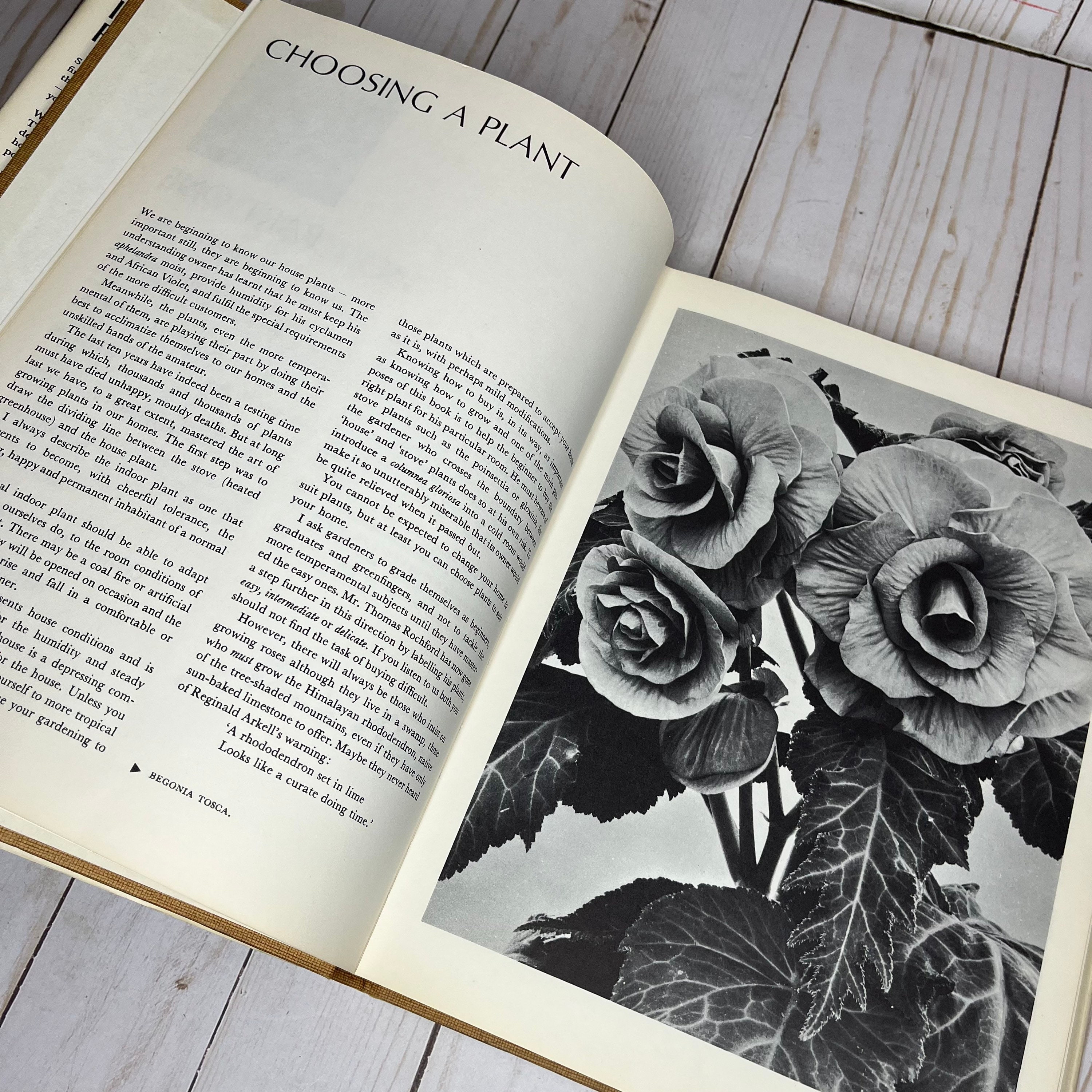 Indoor Plants by Xenia Field, Vintage 1966 HCDJ Book, Planting and