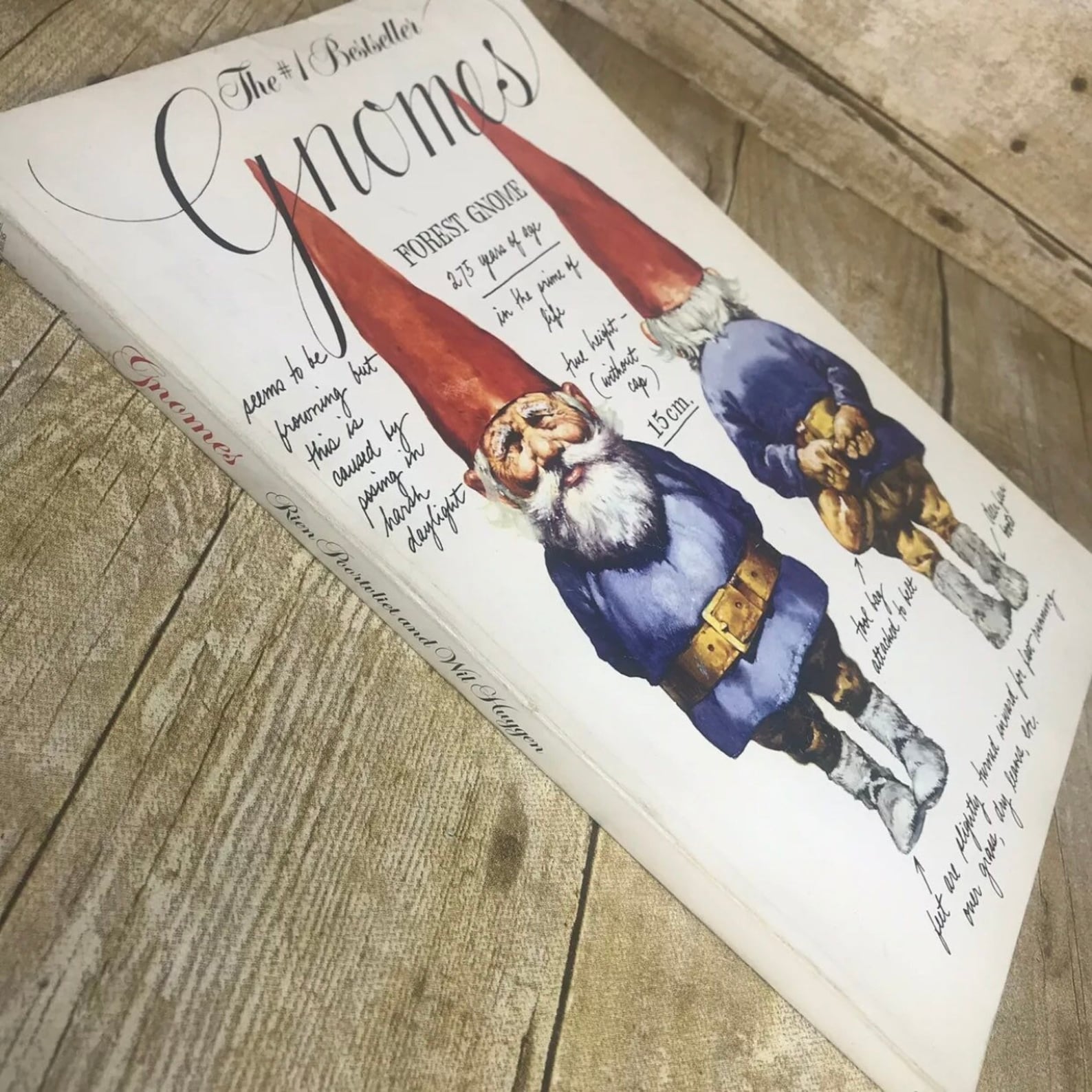 gnomes by rien poortvliet and wil huygen gnomes by rien poortvliet and wil huygen
