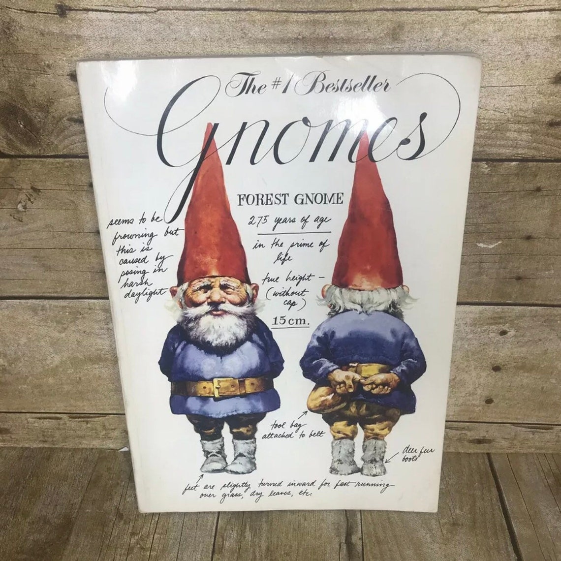 gnomes by rien poortvliet and wil huygen gnomes by rien poortvliet and wil huygen