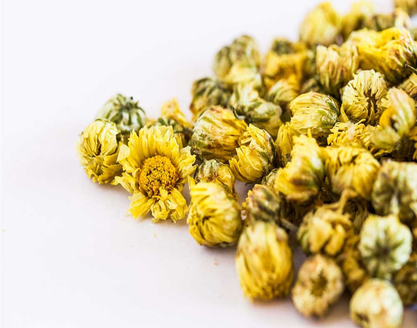 Chrysanthemum Flower Bud Tea Chrysanthyemum Bud Tea Dried Etsy