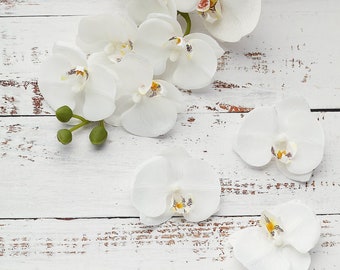 White Orchid Flower Etsy White Orchid Flower Etsy