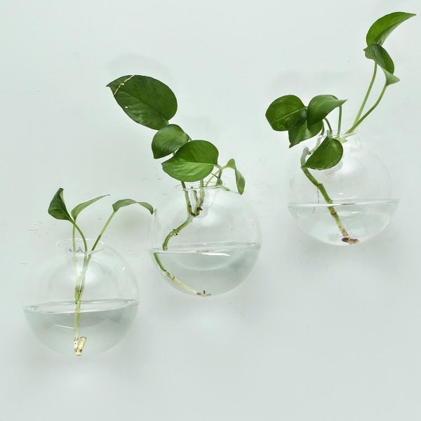 Wall Hanging Planter, Glass Holder Indoor, Modish Round Wall Planters, Wall Terrariums Set, Wall Vase For Plants, Home Decor - 3 Pcs