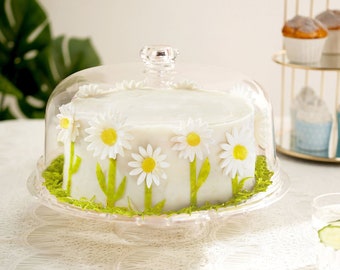 12" Clear Acrylic Cake Stand, Cake Dome, Cake Plate with Dome Lid