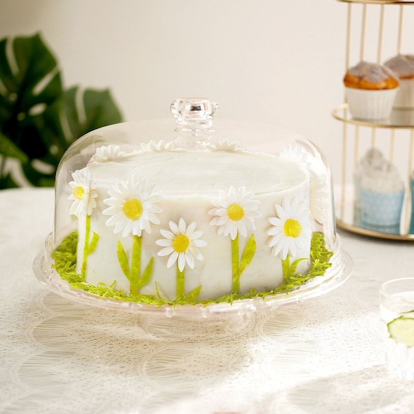 12" Clear Acrylic Cake Stand, Cake Dome, Cake Plate with Dome Lid