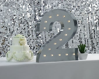 20" Marquee Light Two 2, Number Lights, Marquee Sign, Number Signs, Decorative Lighting, Wall Décor, Wedding, Birthday, Special Occasion,