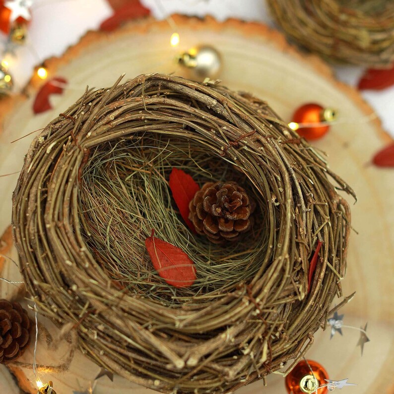 Set of 2 Bird Nest Planter Rattan Bird Nest Planter Etsy