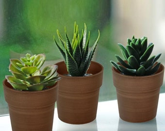 2 Plastic Planter Pots, 3" Indoor Flower Plant Pot, Decorative Gradening Pot for Succulent Flowers Herbs - Rustic Brown Brushed