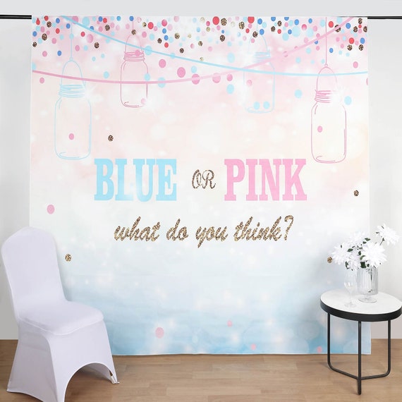 8ftx8ft Gender Reveal Vinyl Party Backdrop Blue or Pink Etsy