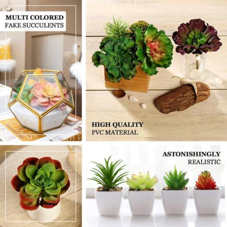 3 Pack 3 Real Touch Succulents Artificial Succulents Etsy