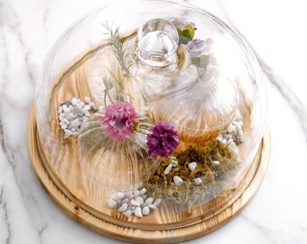 NICEXMAS Glass Cake Dome Cake Cover Tall Cheese Desert Cloche Dessert Display Cloche Bell Jar Dome Snack Fruit Server Salad Dome Transparent 15CM NICEXMAS Glass Cake Dome Cake Cover Tall Cheese Desert Cloche Dessert Display Cloche Bell Jar Dome Snack Fruit Server Salad Dome Transparent 15CM