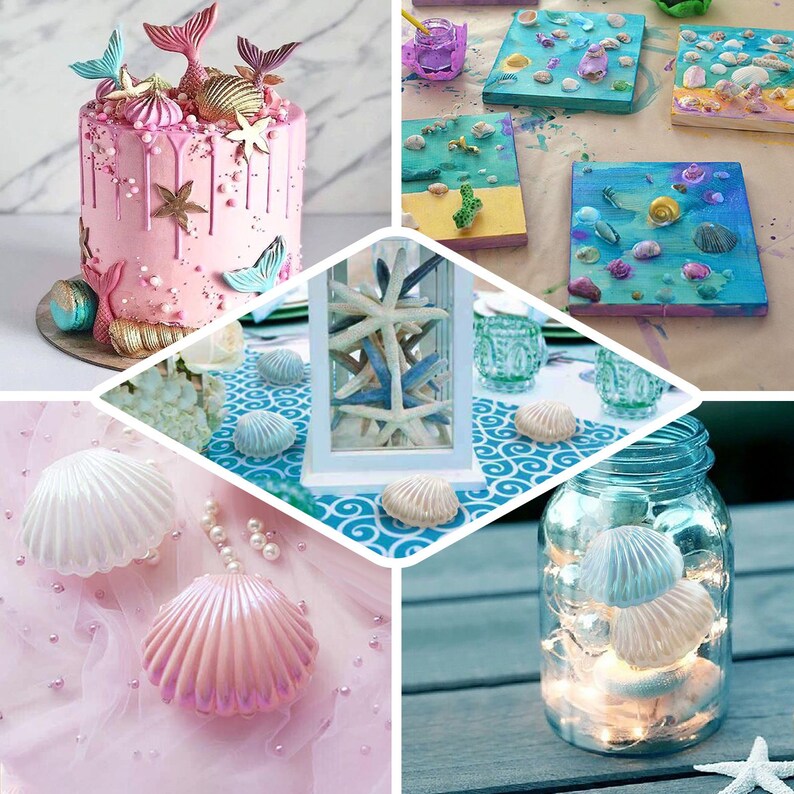 12 Pack Silver Sea Shell Table Top Party Décor 3.5 - Etsy