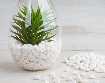 Pack of 2 Lbs | White | Decorative Crushed Gravel Pebble Stone Vase Fillers