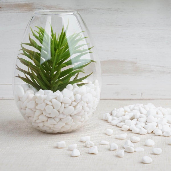 Pack of 2 Lbs | White | Decorative Crushed Gravel Pebble Stone Vase Fillers