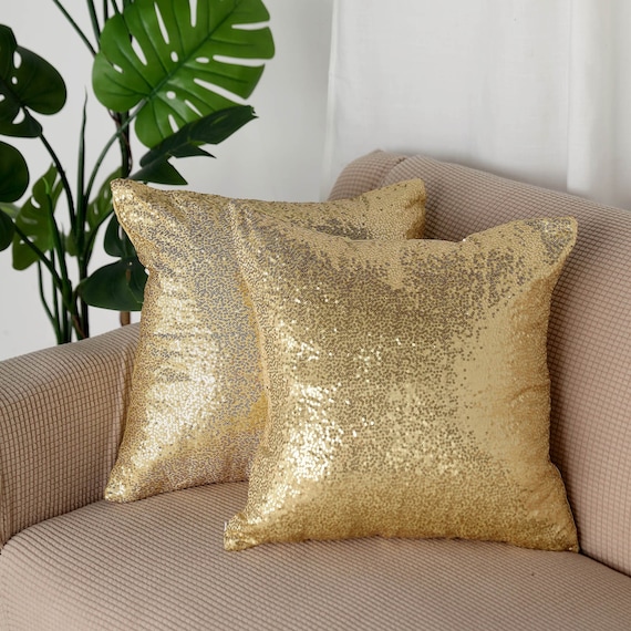 2 Pack 18x18 Champagne Throw Pillow Cover Decorative Pillows