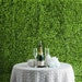 4 Grass Panels, Grass Backdrop, Wedding Backdrop, Baby Shower Backdrop, Wall Mat | Artificial Lime Green Boxwood Hedge Genlisea Faux 