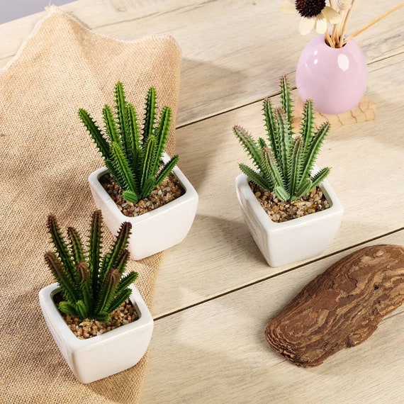 Juego de 3 plantas suculentas artificiales en maceta, suculentas  artificiales en maceta, decoración del hogar, regalo de vacaciones, plantas  falsas de cactus surtidas de 7 pulgadas con macetas -  México