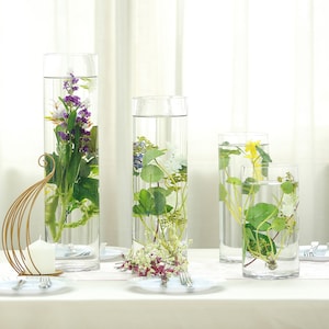 12" Glass Flower Vase, Cylinder Glass Vase, Glass Vase for Candles, Wedding Centerpiece, Modern Decor, Housewarming - Set of 6