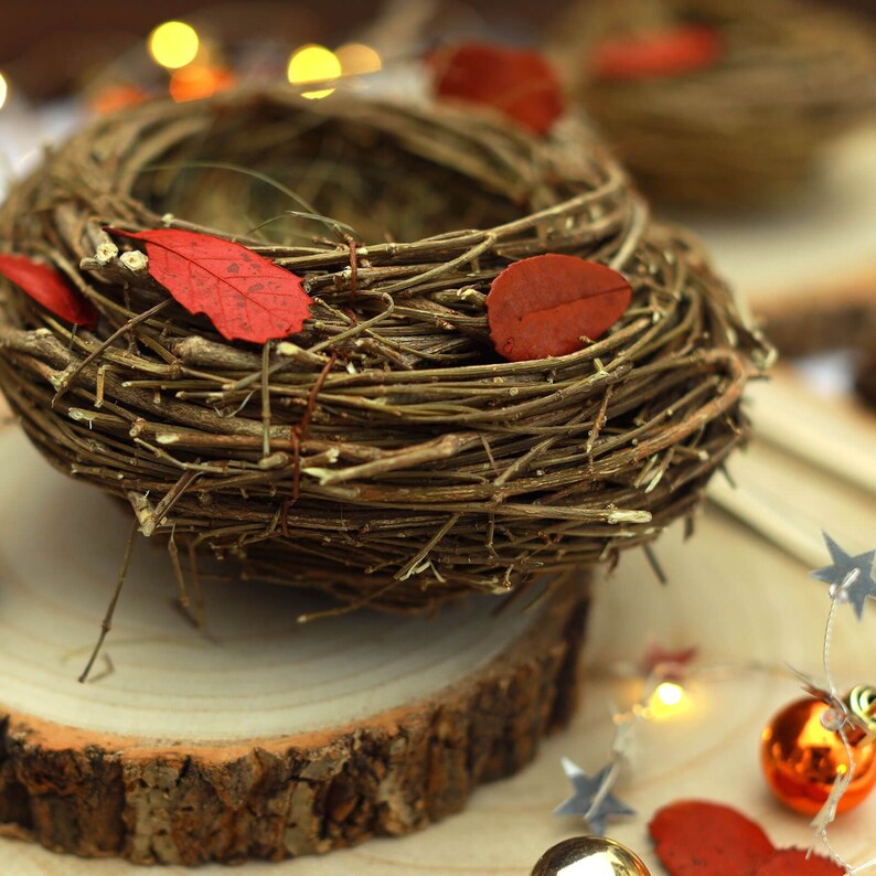 Set of 2 Bird Nest Planter Rattan Bird Nest Planter Etsy