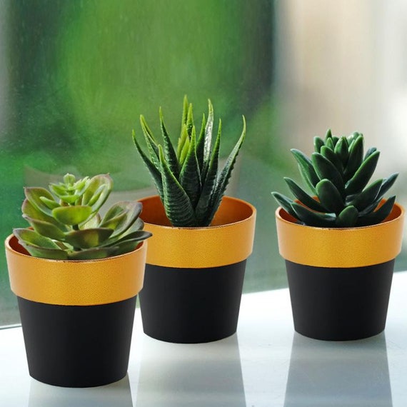hydroponic plants for beginners Green Our Planet Home Garden Starter Kit main image 0