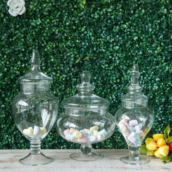 Clear Decorative Glass Jars with Lids, Set of 3  Glass jars with lids, Decorative  glass jars, Apothecary jars