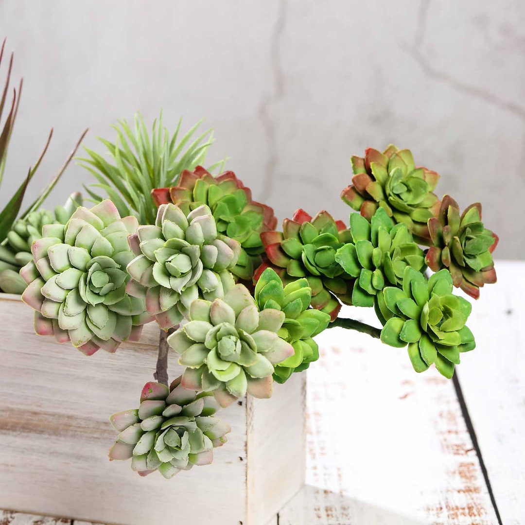 Set of 3 Faux Succulent Plants, Echeveria Long Stem Fake Air Plants