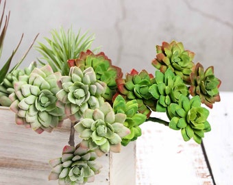 Set of 3 Faux Succulent Plants, Echeveria Long Stem Fake Air