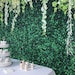8ftx8ft Grass & Vines Print Vinyl Backdrop, Greenery Leaves Photography ...