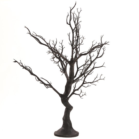 Long Island Centerpiece Manzanita Tree rental