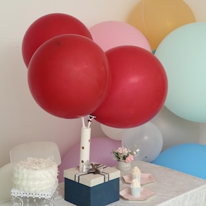 10 Pack - 18&quot; Pastel Burgundy Helium Latex Balloons - Matte Color Round Balloons