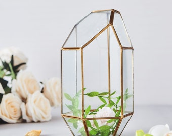 10" Gold Metal Geometric Glass Terrarium, Terrarium Kit , Terrarium Supplies, Table Decor, Multipurpose Air Plants Holder - Heptagon Prism