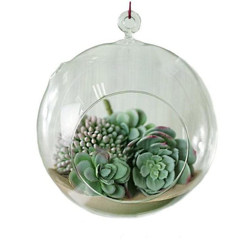 7 Clear Glass Globe Terrarium Hanging Terrariums Etsy