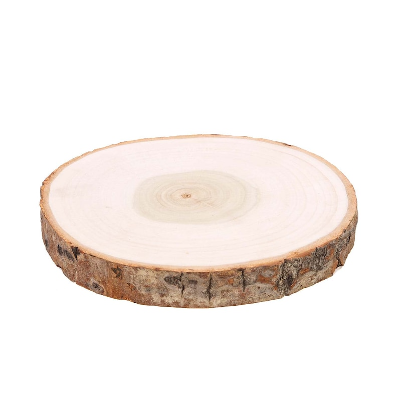 9 Fresh Cut Wood Slices Natural Poplar Wood Wood Slab Etsy