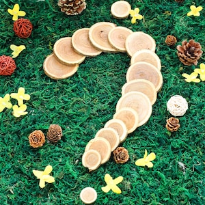 1&quot; - 3&quot; | 5 Oz Fresh Cut Wood Slices, Wooden Disc, Natural Cedar Wood, Wood DIY crafts, Rustic Wedding Decor, Wedding Table Scatters