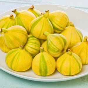 May include: A white plate filled with ripe figs. The figs are yellow with green stripes, and have a small stem. The figs are arranged in a pile, and the plate is sitting on a light blue surface. The figs are a fresh, natural food.