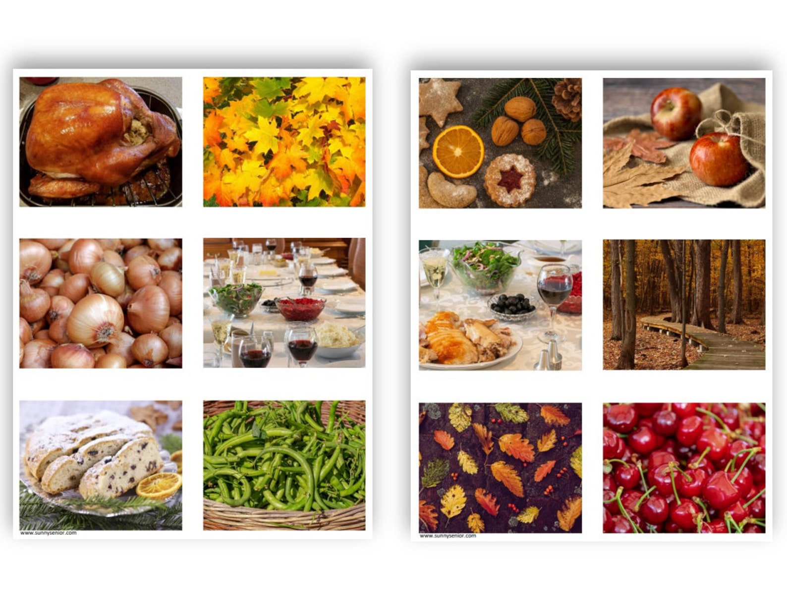 Thanksgiving Memory Match: A Printable Sorting and Matching Game for ...