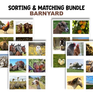 Barnyard Fun: Printable Matching and Sorting Game for Memory
