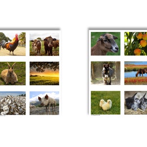 ribbed plus size dress