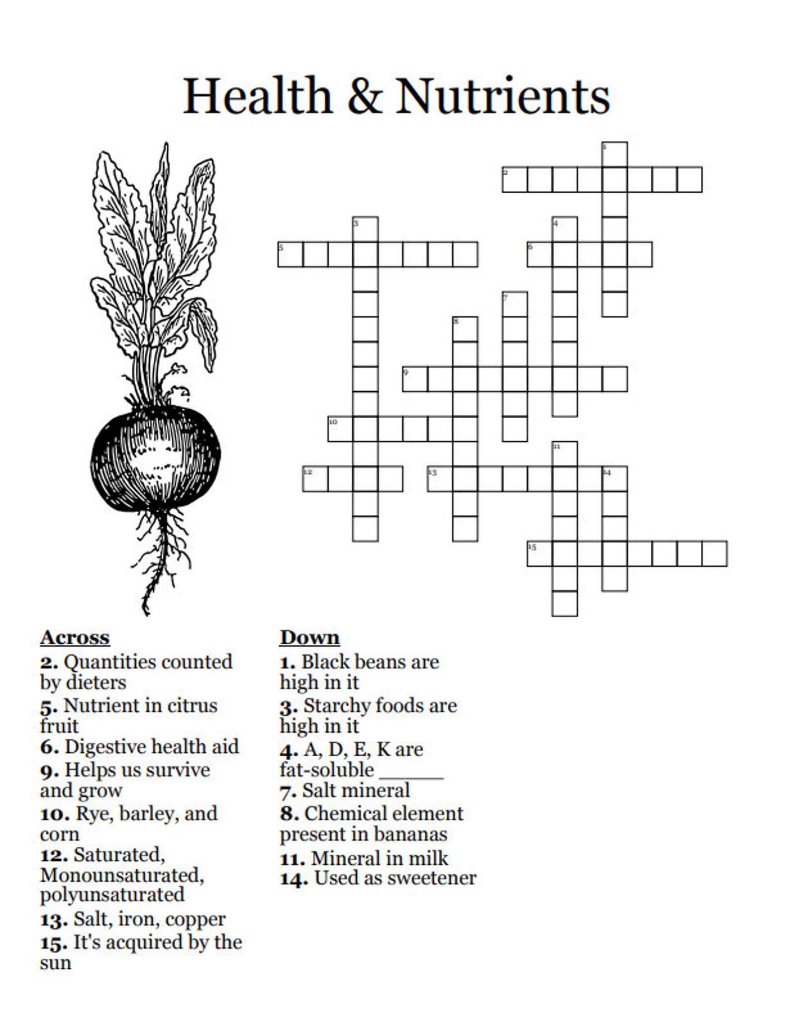 January Crossword Puzzles for Dementia Printable Brain Exercise for