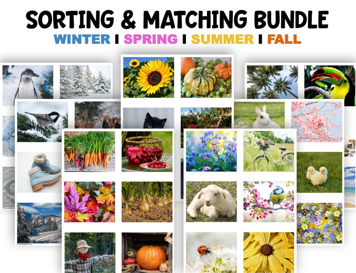 Memory Match: A Printable Sorting and Matching Game for - Etsy
