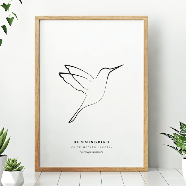 Colibri // Dessin d’oiseau à ligne unique imprimable, art mural ou carte postale, téléchargement instantané, fond noir ou blanc