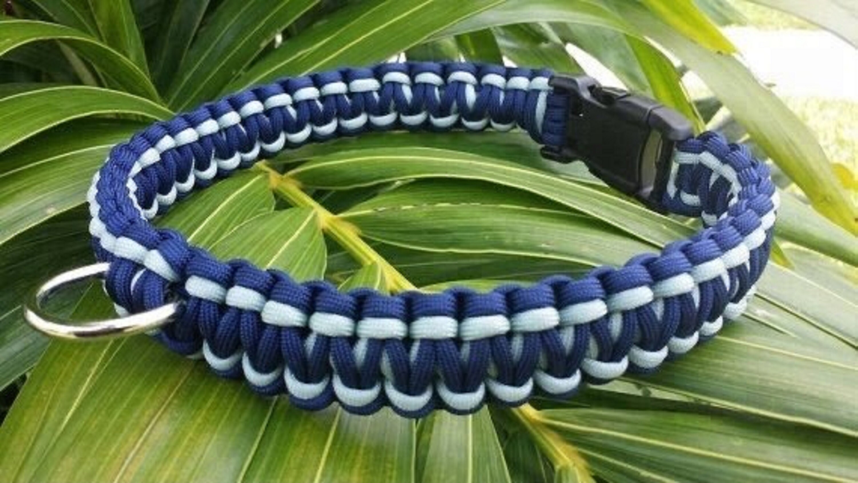 Collier en Paracorde - Modèle Cobra/Chien Chat Animaux de Compagnie