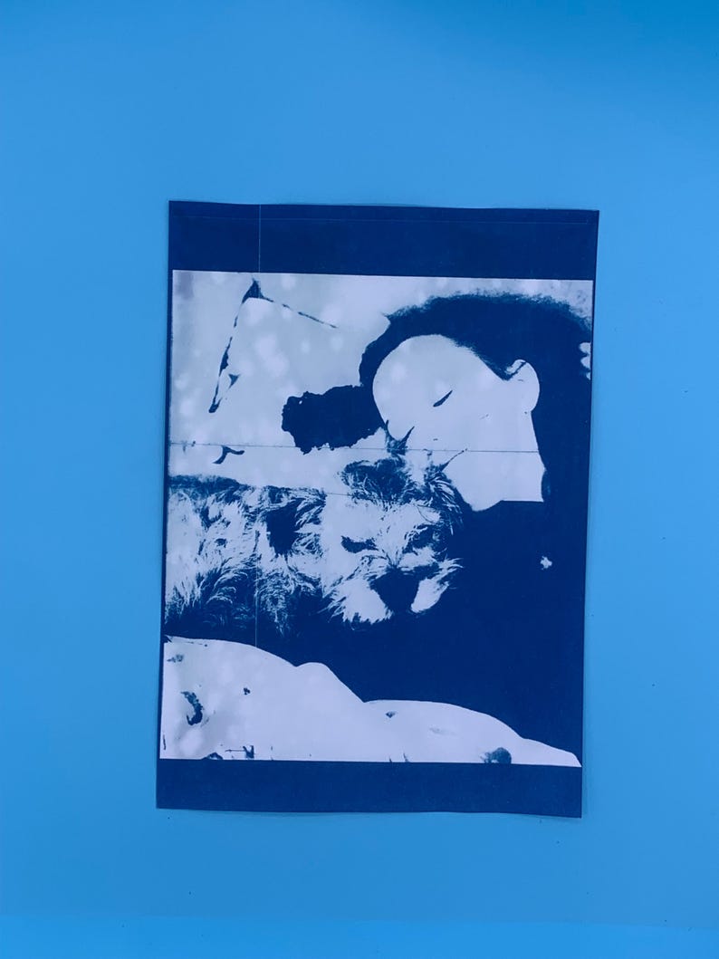 Peut inclure: Une impression pli&eacute;e, bleu fonc&eacute;, sur un fond bleu clair. L'impression pr&eacute;sente une image blanche et bleu fonc&eacute; d'un visage et d'un chien. L'image est une repr&eacute;sentation artistique &agrave; fort contraste.