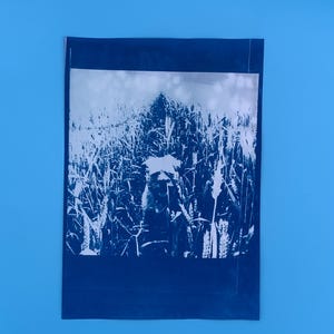 Peut inclure: Une impression cyanotype repr&eacute;sentant un champ de bl&eacute;. L'image est en nuances de bleu et de blanc, avec les &eacute;pis de bl&eacute; bien en &eacute;vidence. L'impression est mont&eacute;e sur un papier bleu fonc&eacute;, cr&eacute;ant un contraste avec le fond bleu clair.