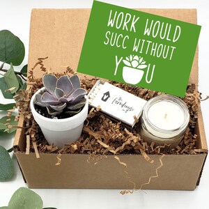 Employee Appreciation Day, Quarantine Custom Gift, Host Gift, Employee Gift Box, Succulent Gift Box, Work Would Succ Without You Gift