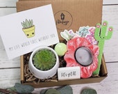 My Life Would Succ Without You Care Package Custom Gift Quarantine Succs Gift For Her Best Friend Gift Succulent FREE SHIPPING